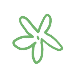 Encore une fleur verte pour Soroera, site de culottes menstruelles qui respectent la planète et la santé